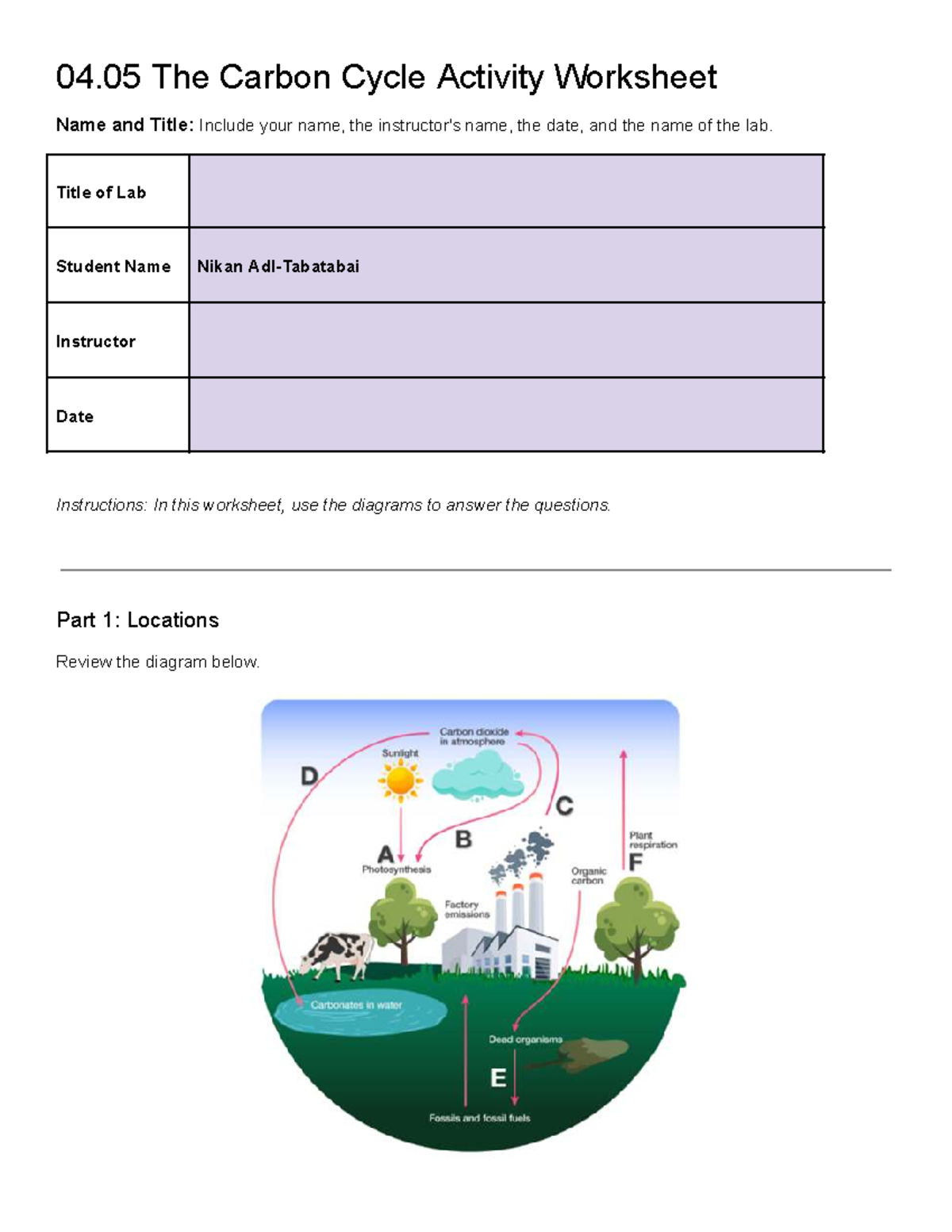 04 05 Carbon Cycle Activity Worksheet Student Name Date Studocu