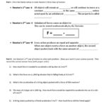 08 Newtons Laws Practice Worksheet PDF Acceleration Force Worksheets Library