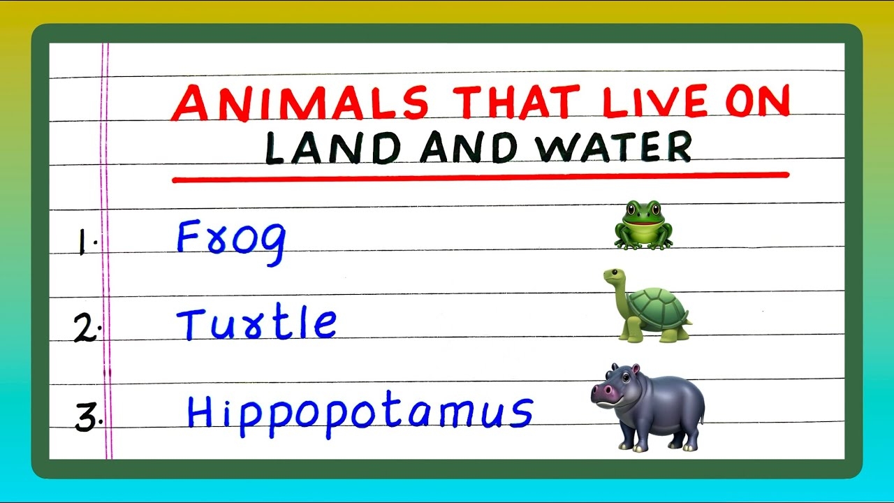 10 Animals That Live On Land And Water YouTube 10 Animals That Live On Land And Water YouTube