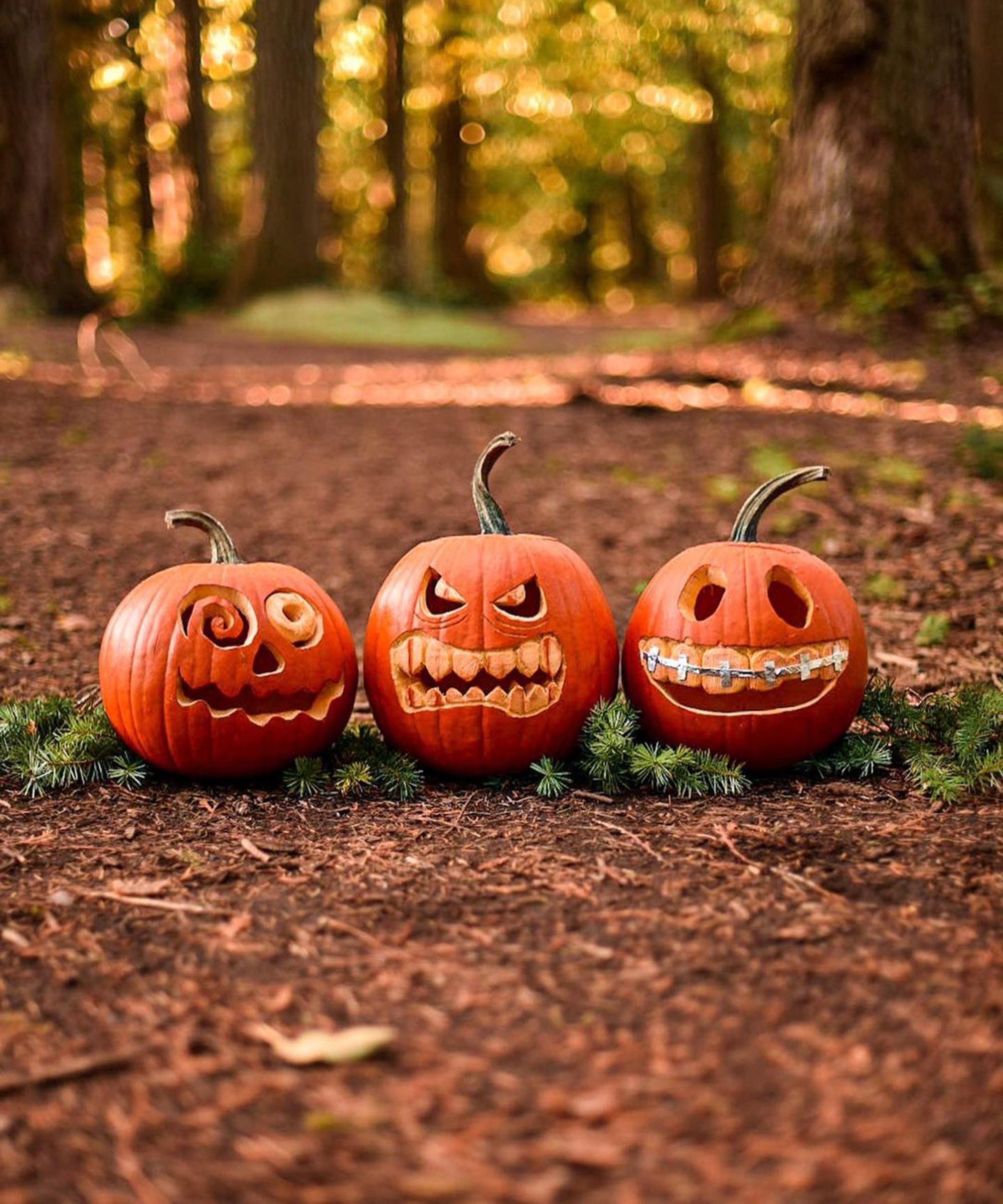 easy pumpkin carving patterns