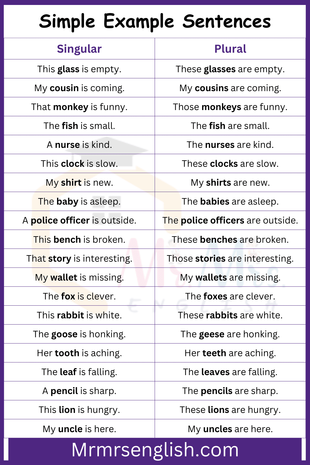 nouns in singular and plural