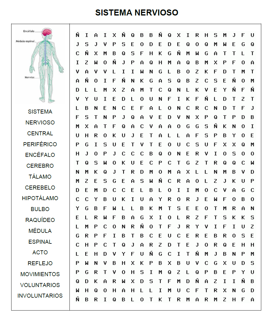 11 Ideas De SOPA DE LETRAS Sopa De Letras Sopa De Letras Dificil Sopas De Letras Para Imprimir Gratis 11 Ideas De SOPA DE LETRAS Sopa De Letras Sopa De Letras Dificil Sopas De Letras Para Imprimir Gratis