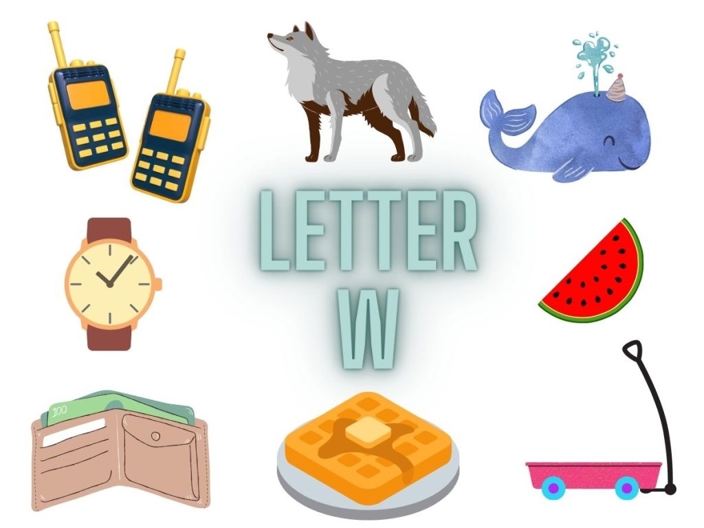 140 Great Show And Tell Letter W Item Ideas