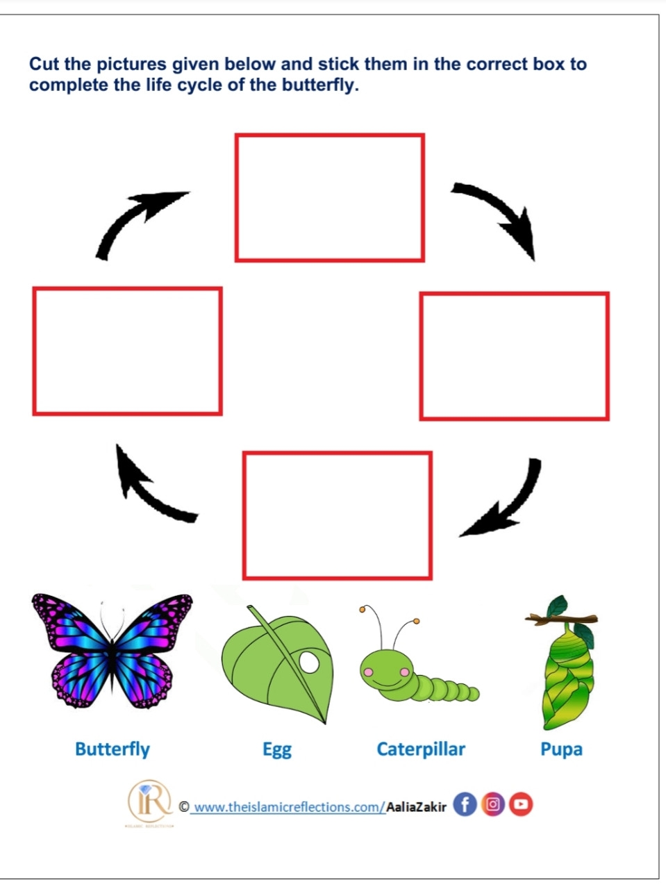 15 Free Life Cycle Of A Butterfly Printables Fun A Day Worksheets Library