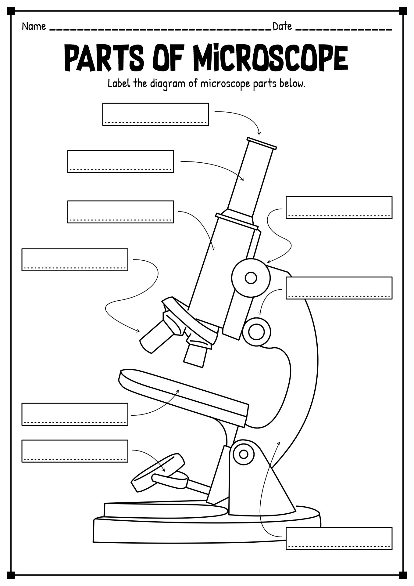 parts of a microscope worksheet