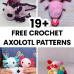 19 Free Crochet Axolotl Patterns Sarah Maker