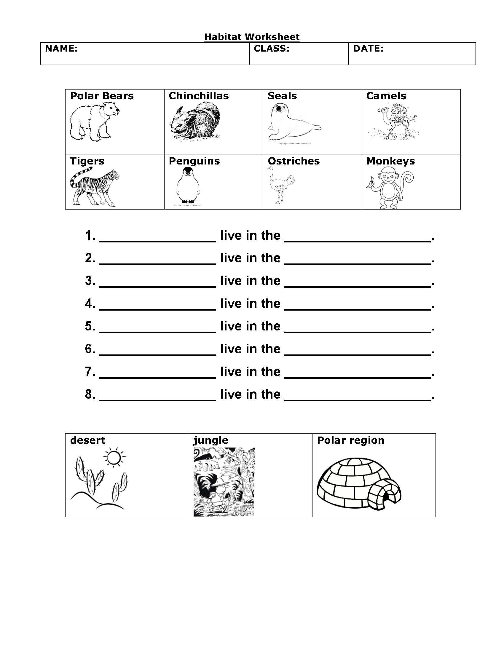 200 Science Worksheets For First Grade Worksheets Library