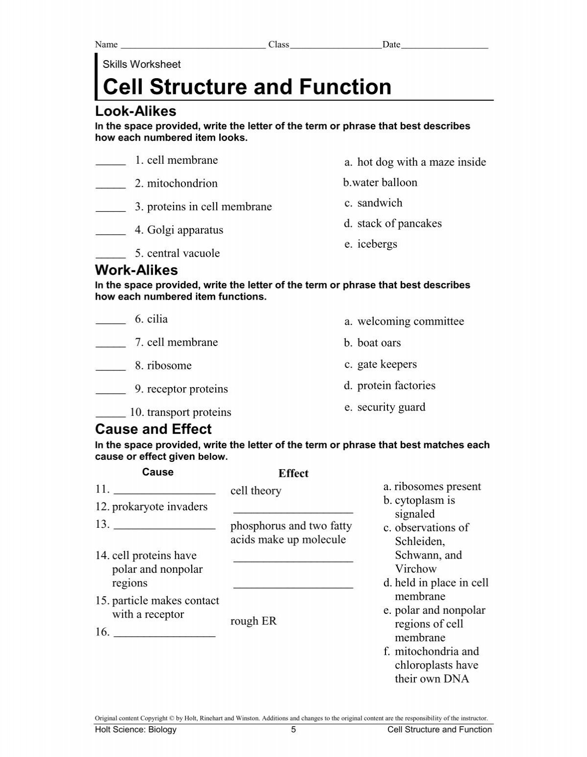 cell structure and function worksheet