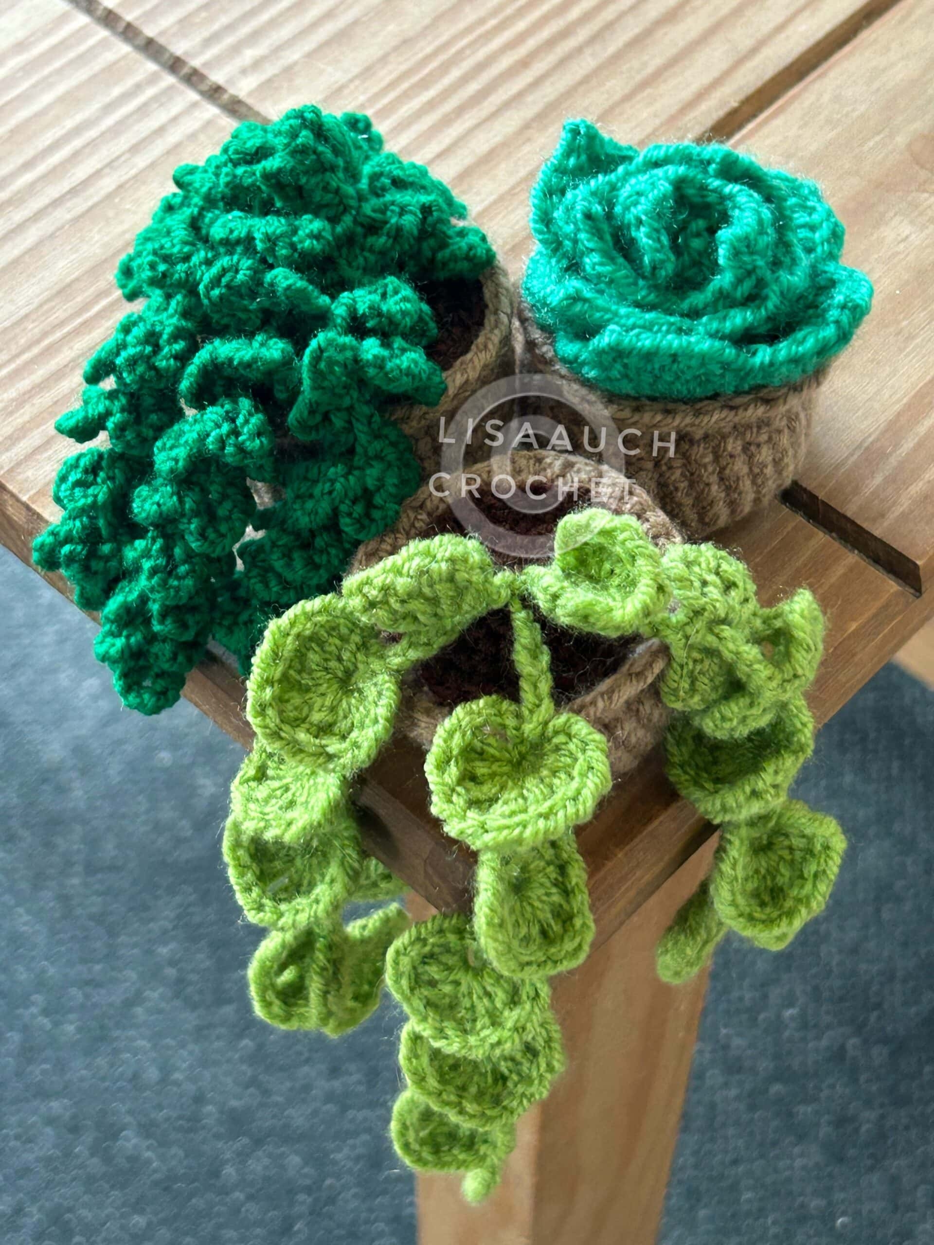3 Mini Crochet Succulent Patterns FREE Crochet Hanging Vines Hearts Trailing Vines In Mini Pots