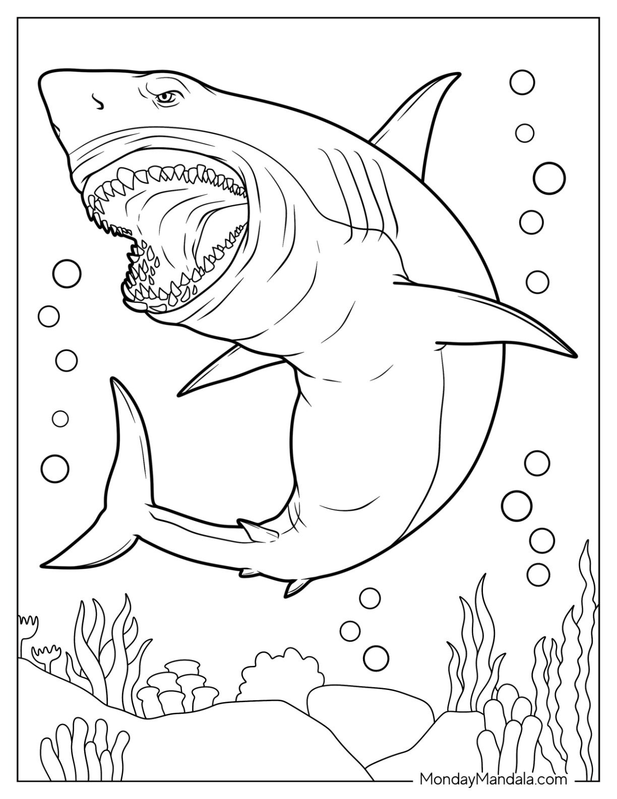 34 Shark Coloring Pages Free PDF Printables