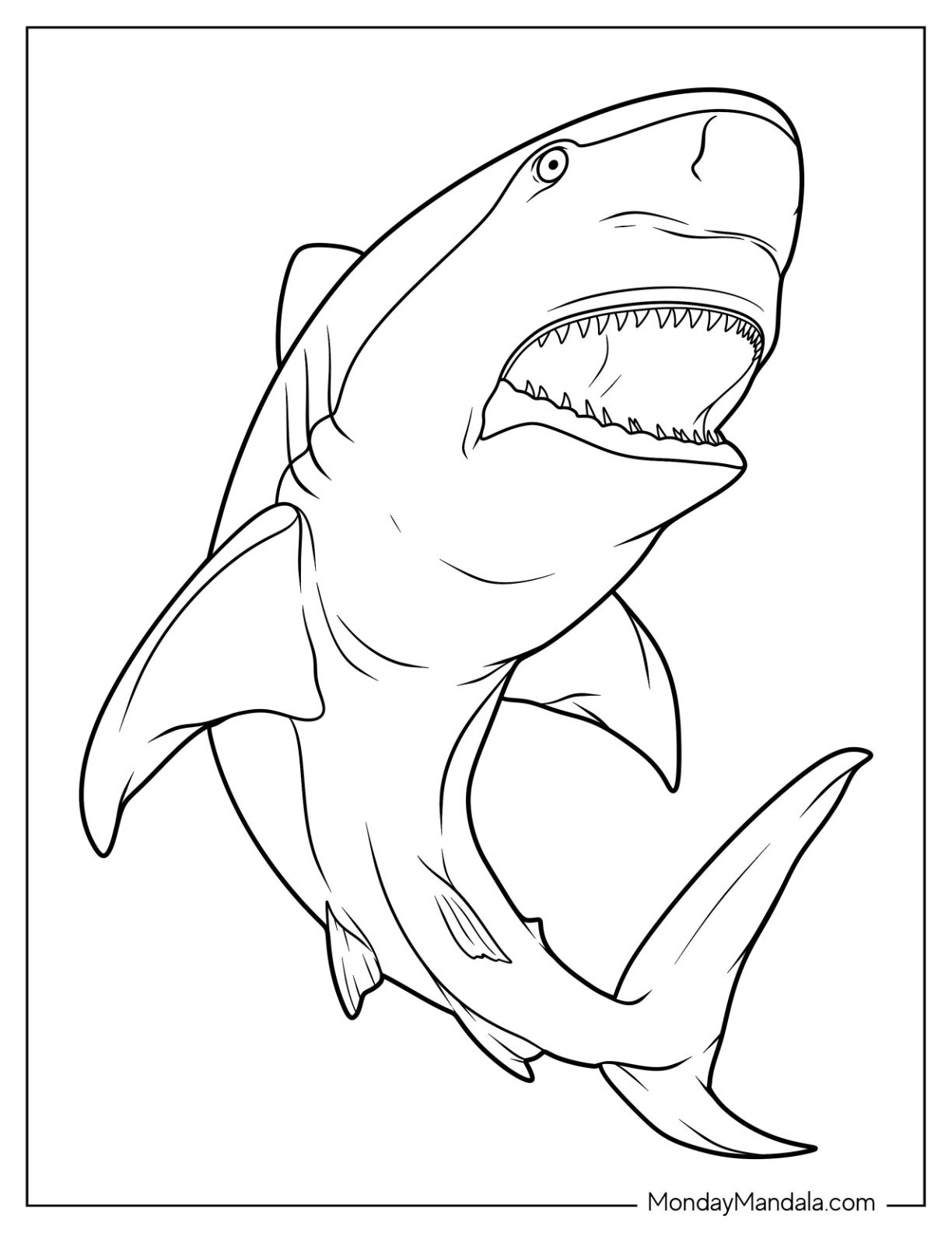 34 Shark Coloring Pages Free PDF Printables 