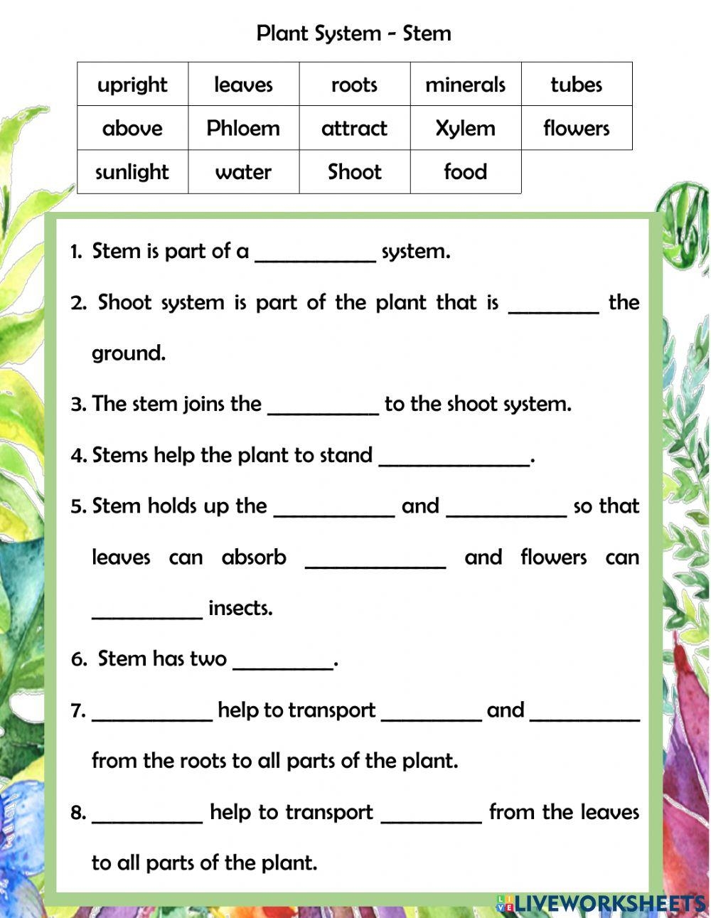4D Water In Plants Worksheet GRADE 8 Worksheets Library