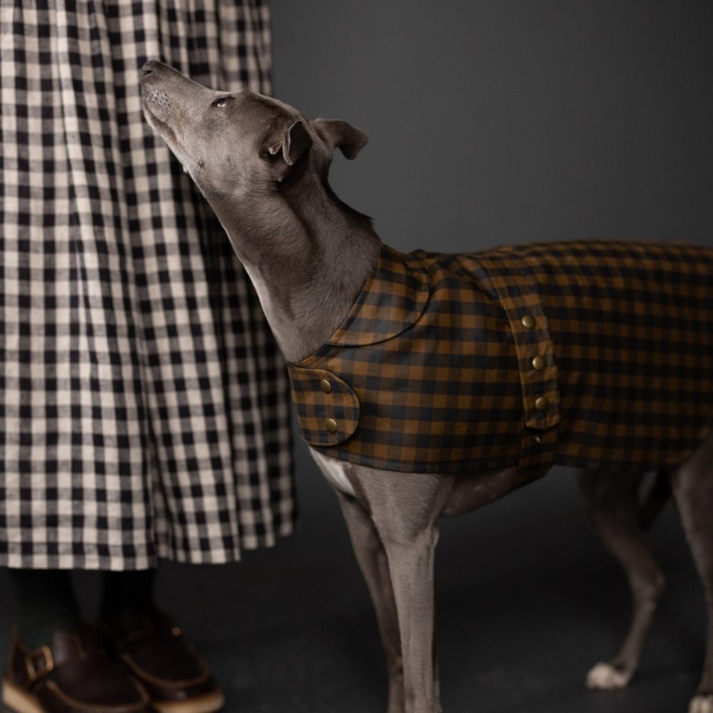 5 Dog Coat Sewing Patterns To Keep Your Pup Cosy Good Fabric