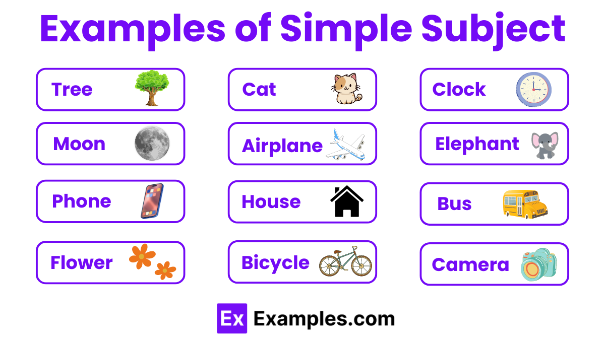 70 Simple Subject Examples
