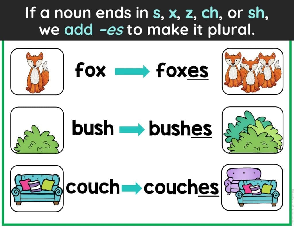 nouns and plural nouns