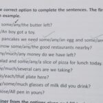 A Choose The Correct Option To Complete The Sentences The First One Has