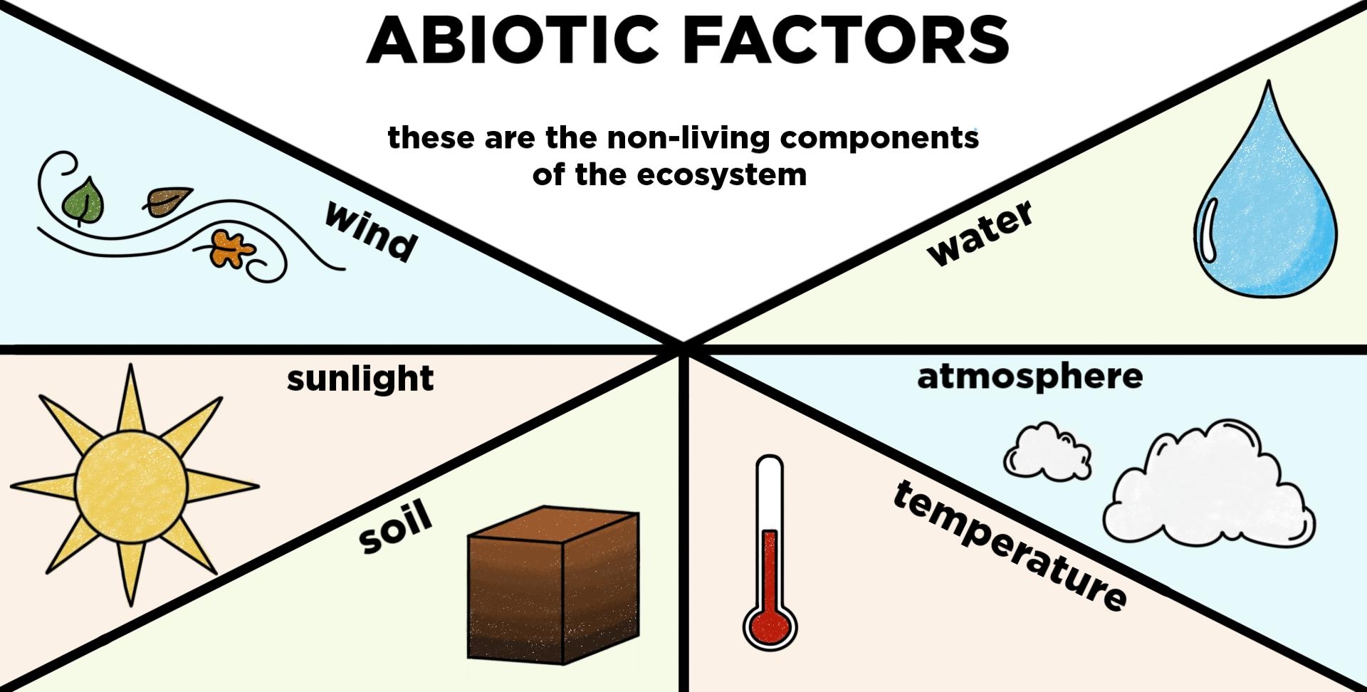 Abiotic Components Of Ecosystems Definition Examples Expii Abiotic Components Of Ecosystems Definition Examples Expii