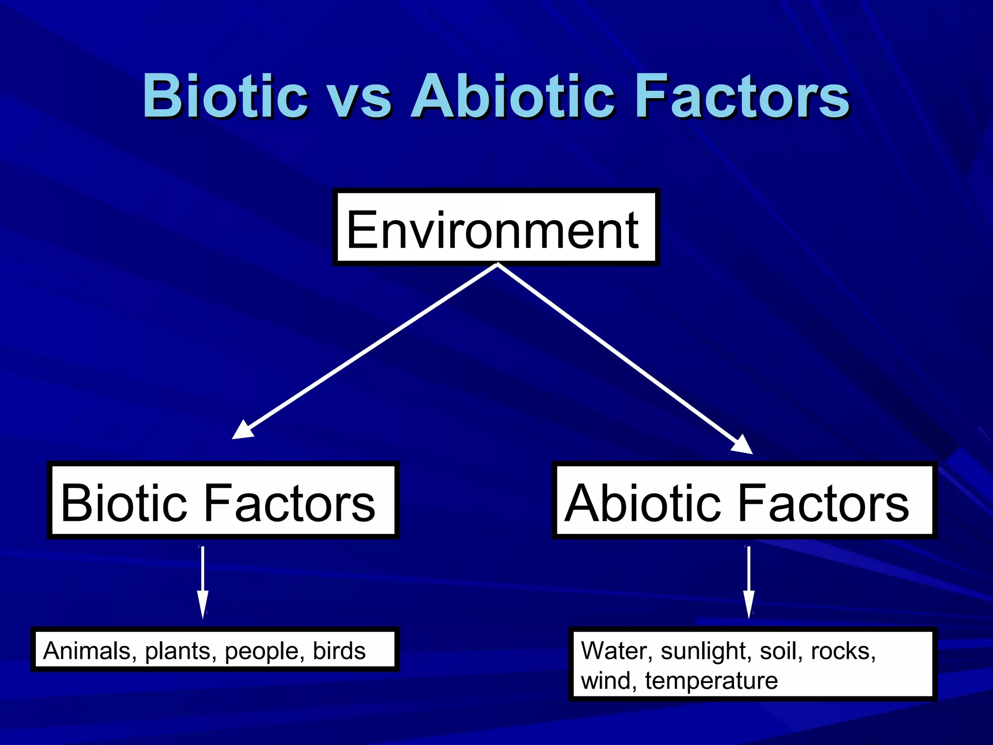 Abiotic Vs Biotic Web PPT Abiotic Vs Biotic Web PPT