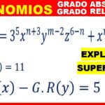 ABSOLUTE And RELATIVE DEGREE Of A POLYNOMIAL SOLVED EXERCISE YouTube
