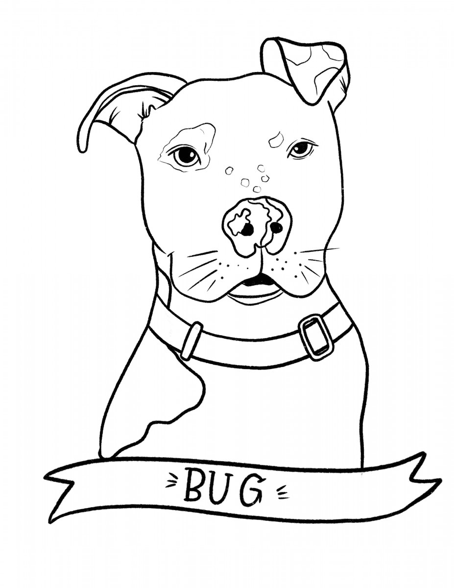 ACPB Coloring Contest Angel City Pit Bulls Los Angeles Dog Rescue ACPB Coloring Contest Angel City Pit Bulls Los Angeles Dog Rescue