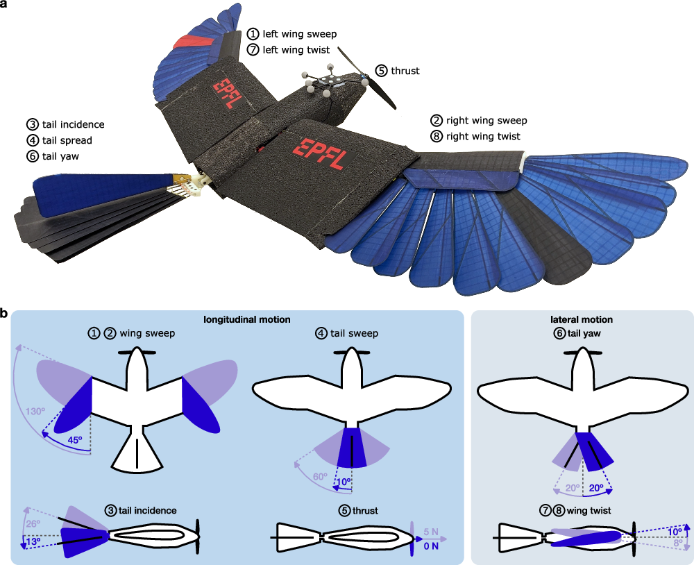 Agile Perching Maneuvers In Birds And Morphing wing Drones Nature Communications