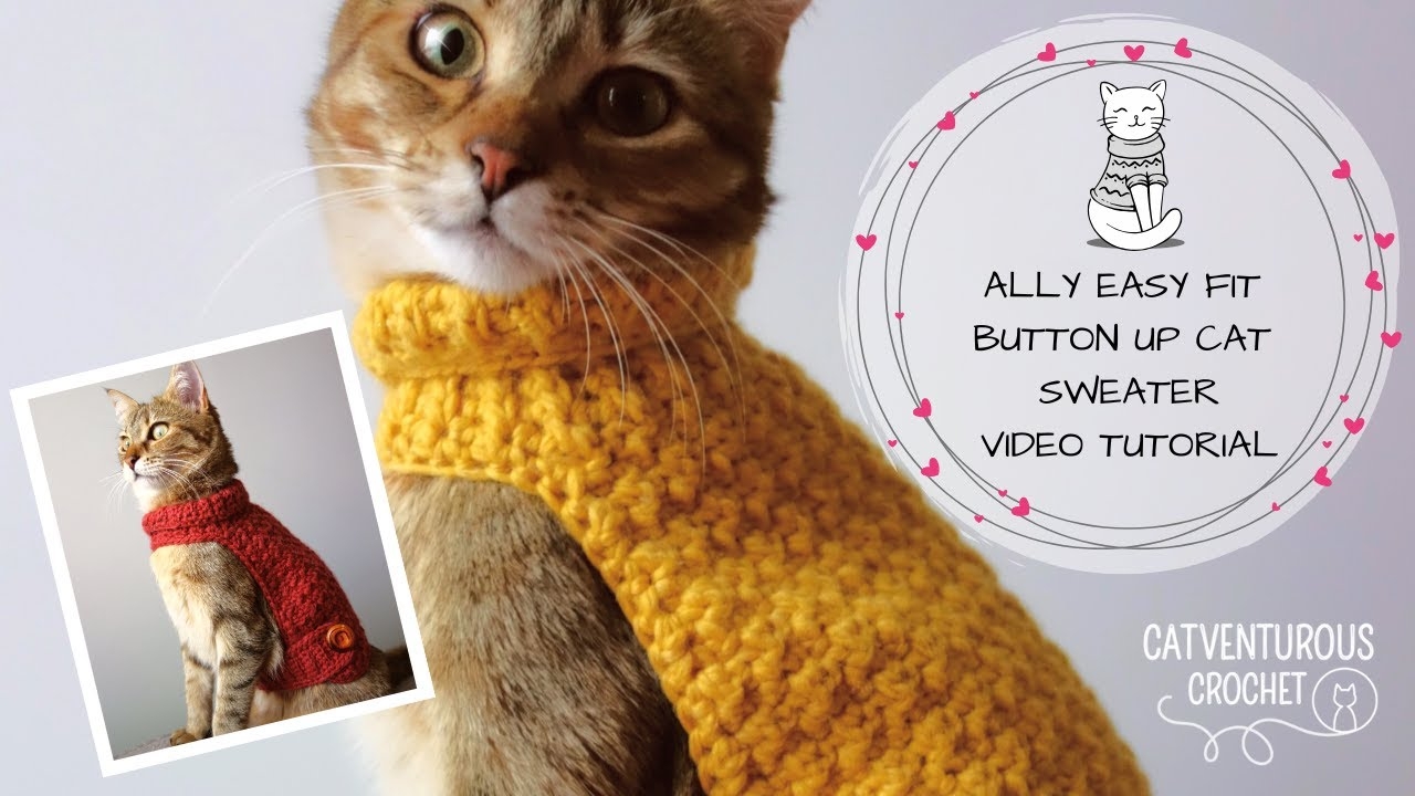 Ally Easy Fit Button Up Cat Sweater Catventurous Crochet YouTube