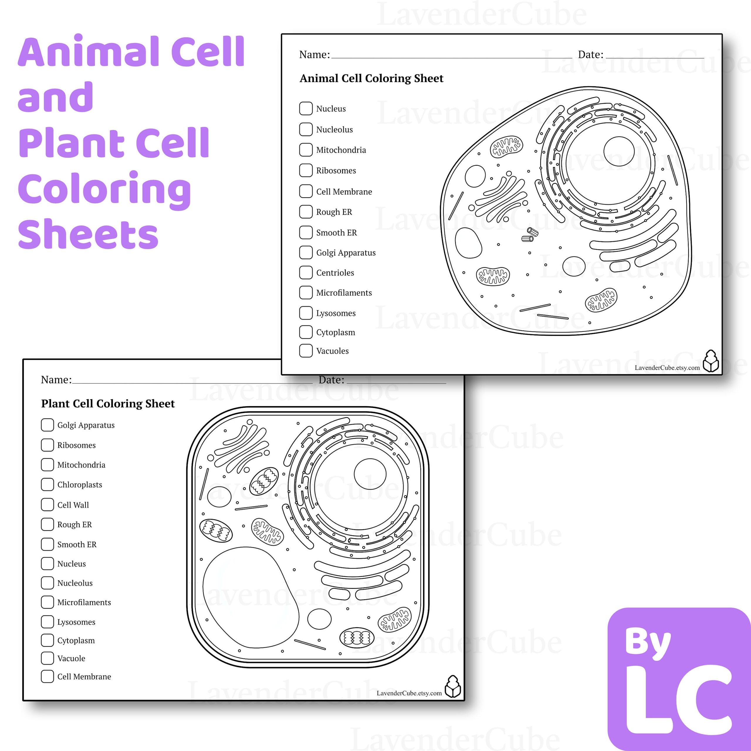 Animal And Plant Cell Coloring Worksheets Digital Download 300 DPI Png Etsy Animal And Plant Cell Coloring Worksheets Digital Download 300 DPI Png Etsy