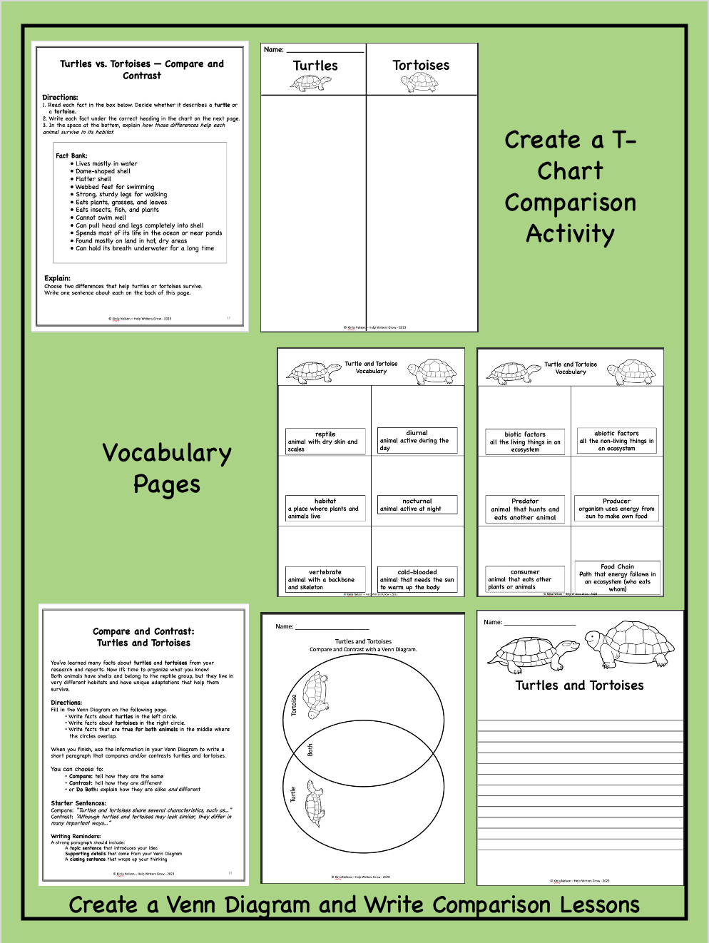 Animal Reports For 5th Grade Turtles And Tortoises Help Writers Grow Animal Reports For 5th Grade Turtles And Tortoises Help Writers Grow