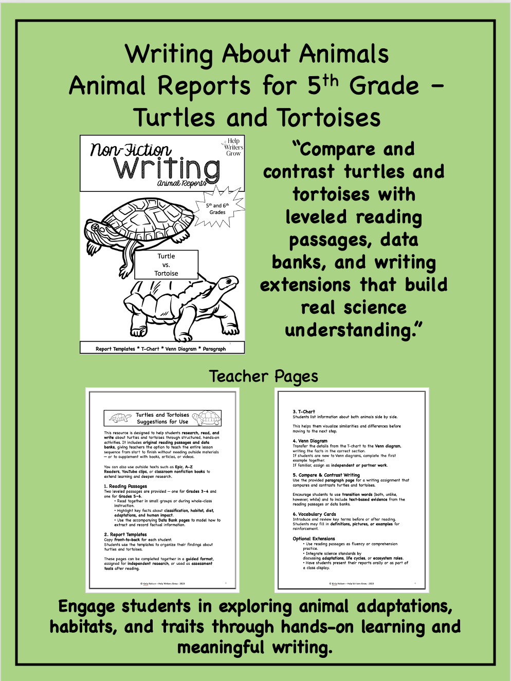 Animal Reports For 5th Grade Turtles And Tortoises Help Writers Grow