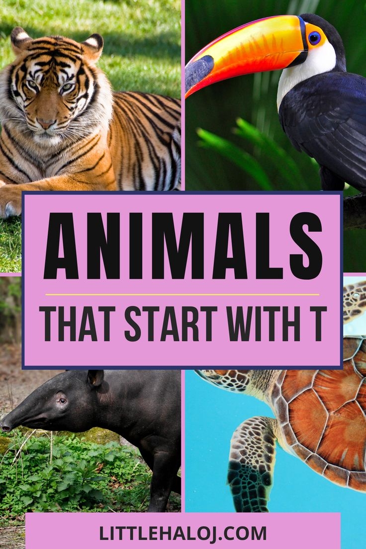 animals starting with t