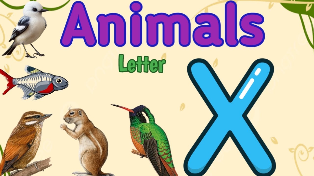 animal name in x animal name in x