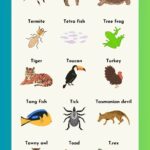 Animals That Start With The Letter T Pictures And Interesting Facts