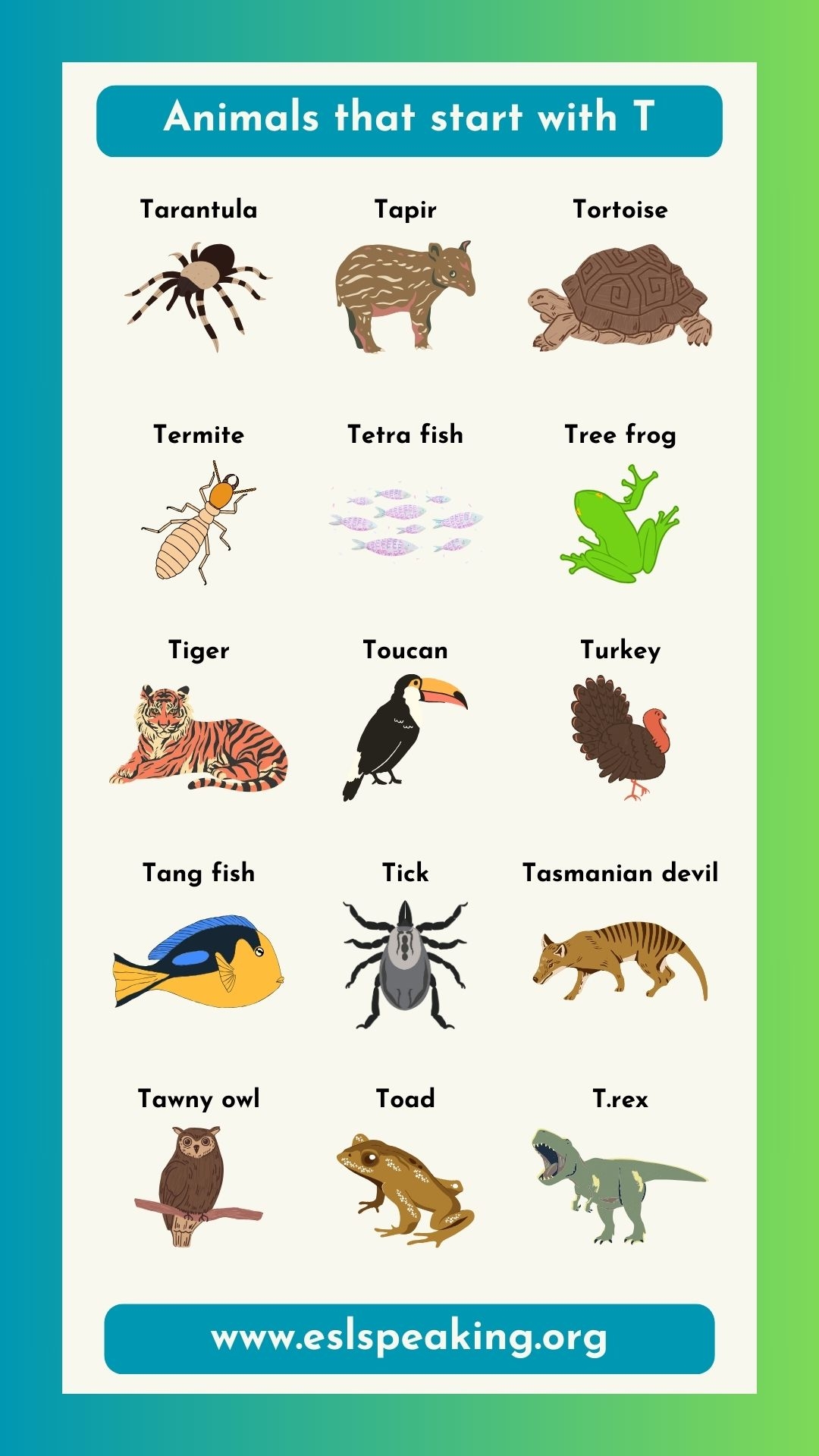 Animals That Start With The Letter T Pictures And Interesting Facts