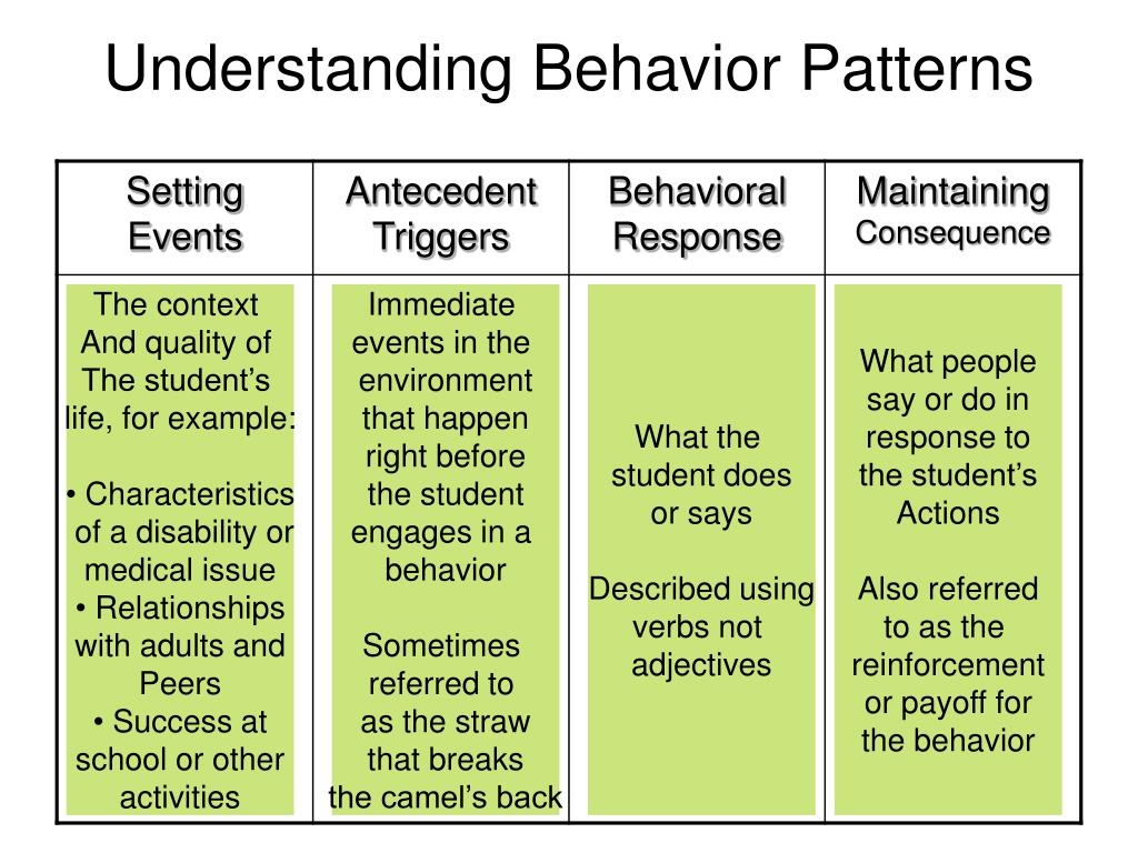 Another Word For Pattern Of Behavior