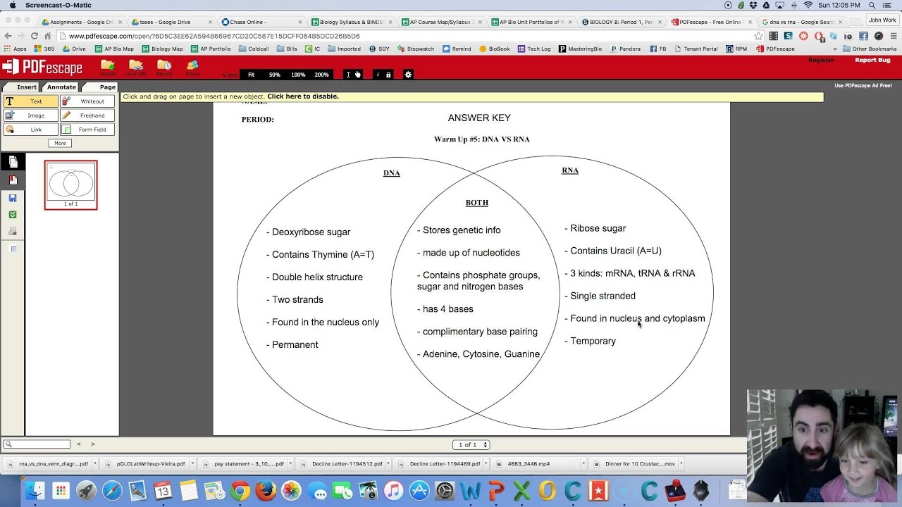 Answers DNA Vs RNA Venn Diagram YouTube