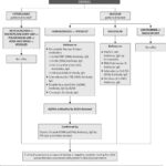 Antinuclear Antibody ANA With HEp 2 Substrate Test Fact Sheet