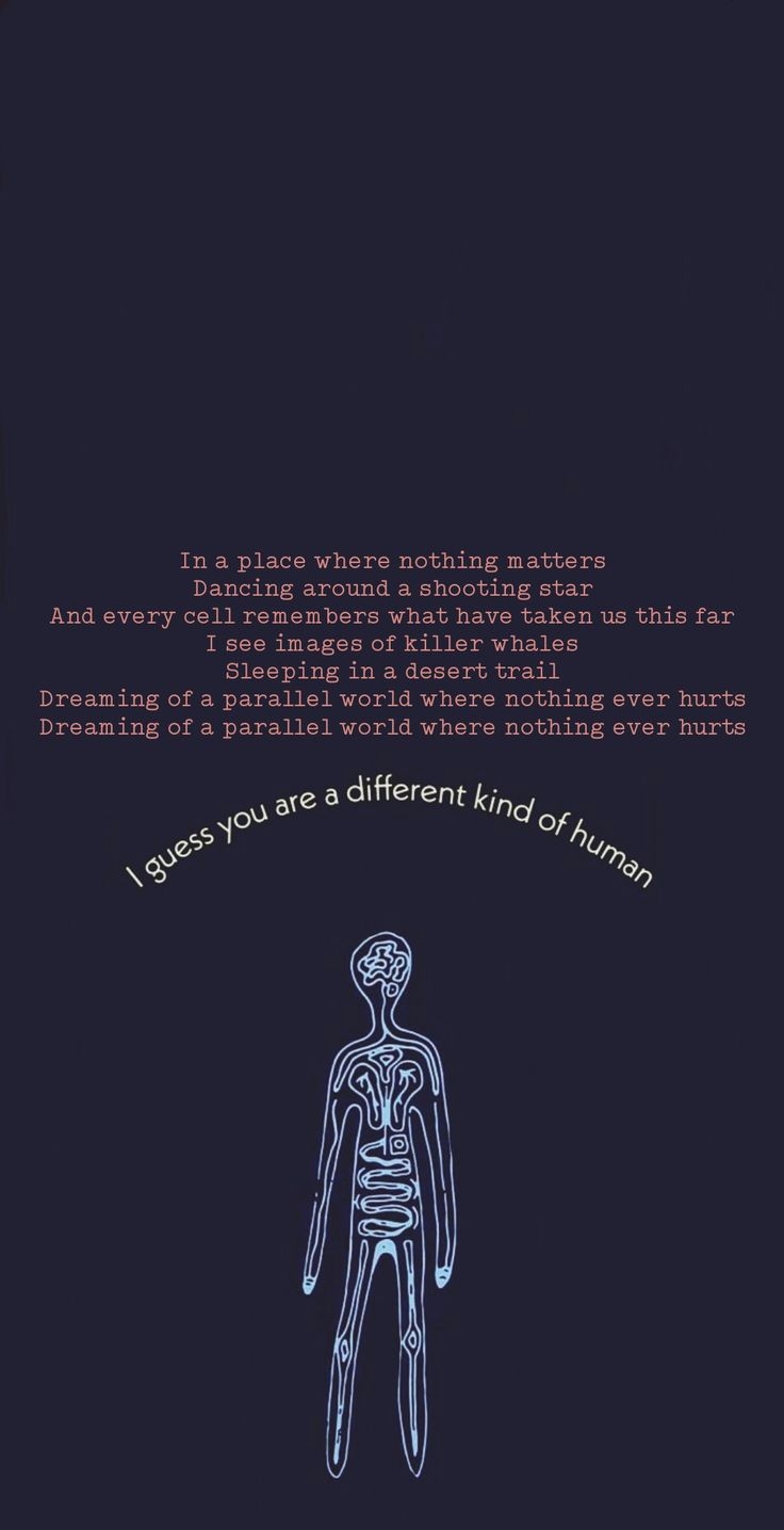 the seed aurora lyrics the seed aurora lyrics