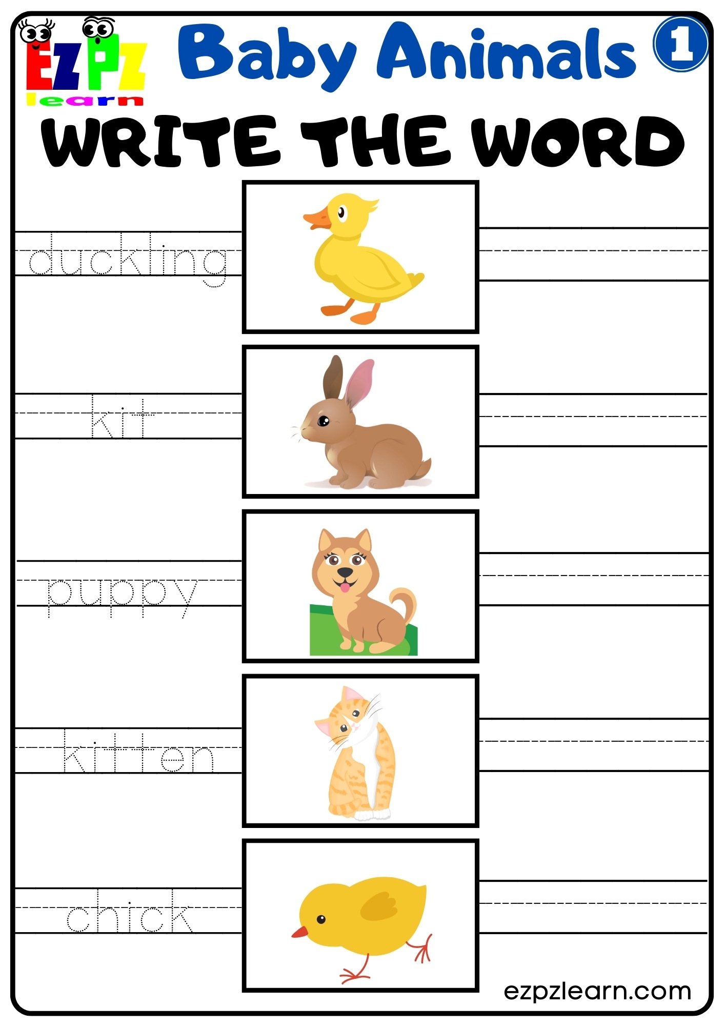 Baby Animals Vocabulary Write The Words Activity For English Language Learners And Kindergarten Students Free Download Ezpzlearn