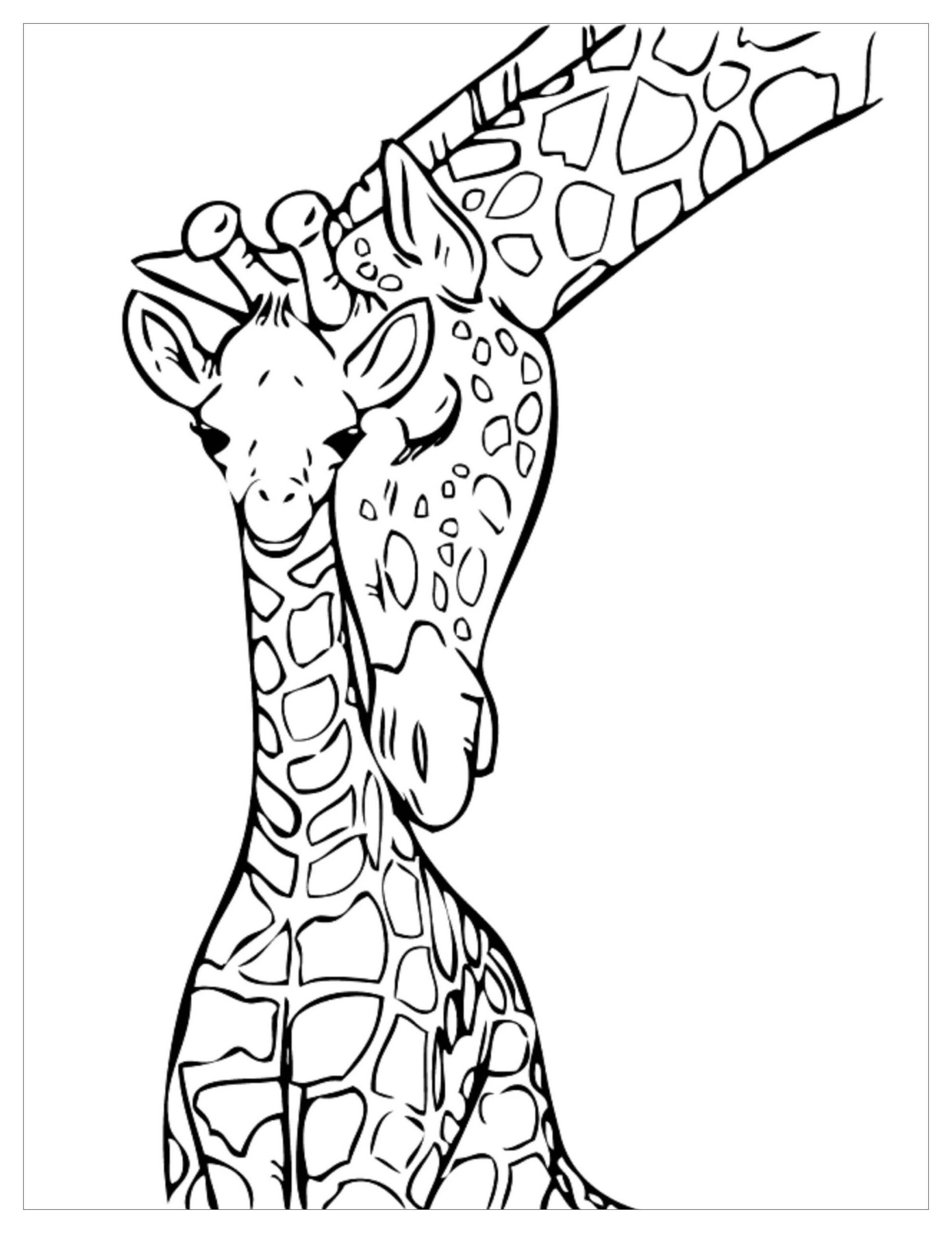 Baby Giraffe Coloring Page Download Giraffe Coloring Pages Baby Giraffe Coloring Page Download Giraffe Coloring Pages