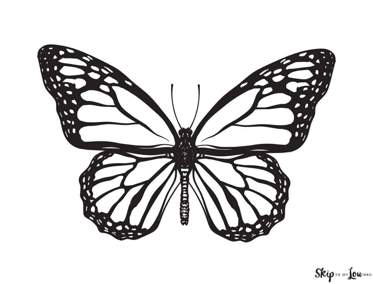 Beautiful Butterfly Coloring Pages To Download And Print Skip To My Lou