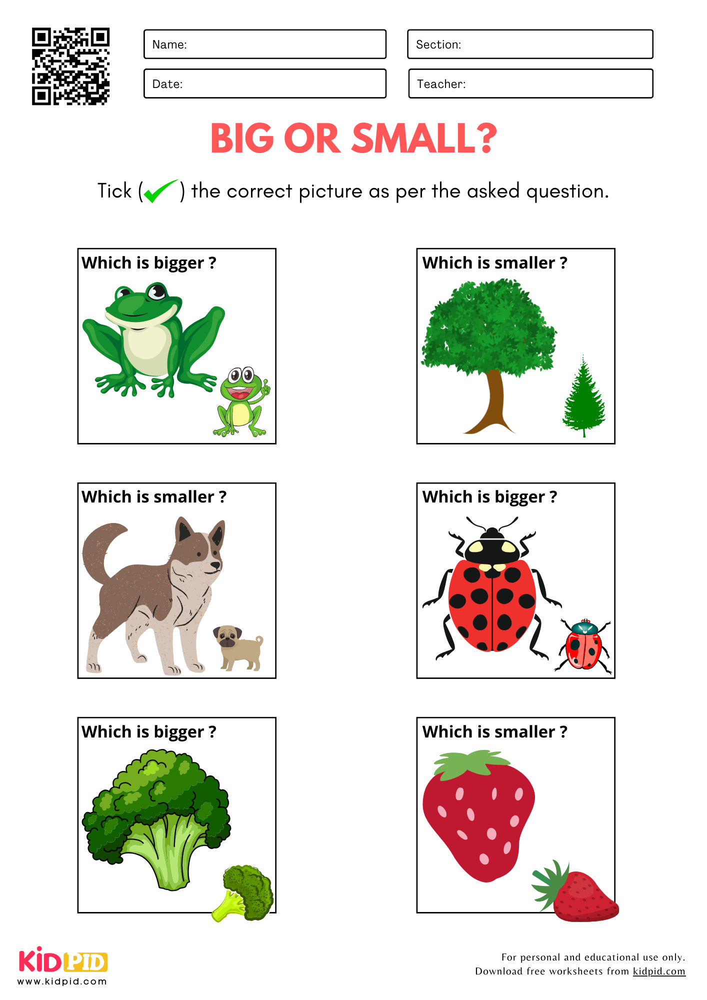 Big Or Small Size Comparison Worksheet For Kindergarten Kidpid Big Or Small Size Comparison Worksheet For Kindergarten Kidpid