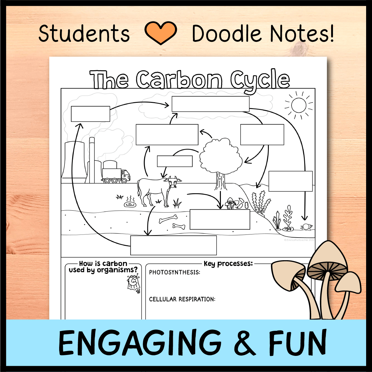 Biogeochemical Cycles Doodle Notes Worksheets Library