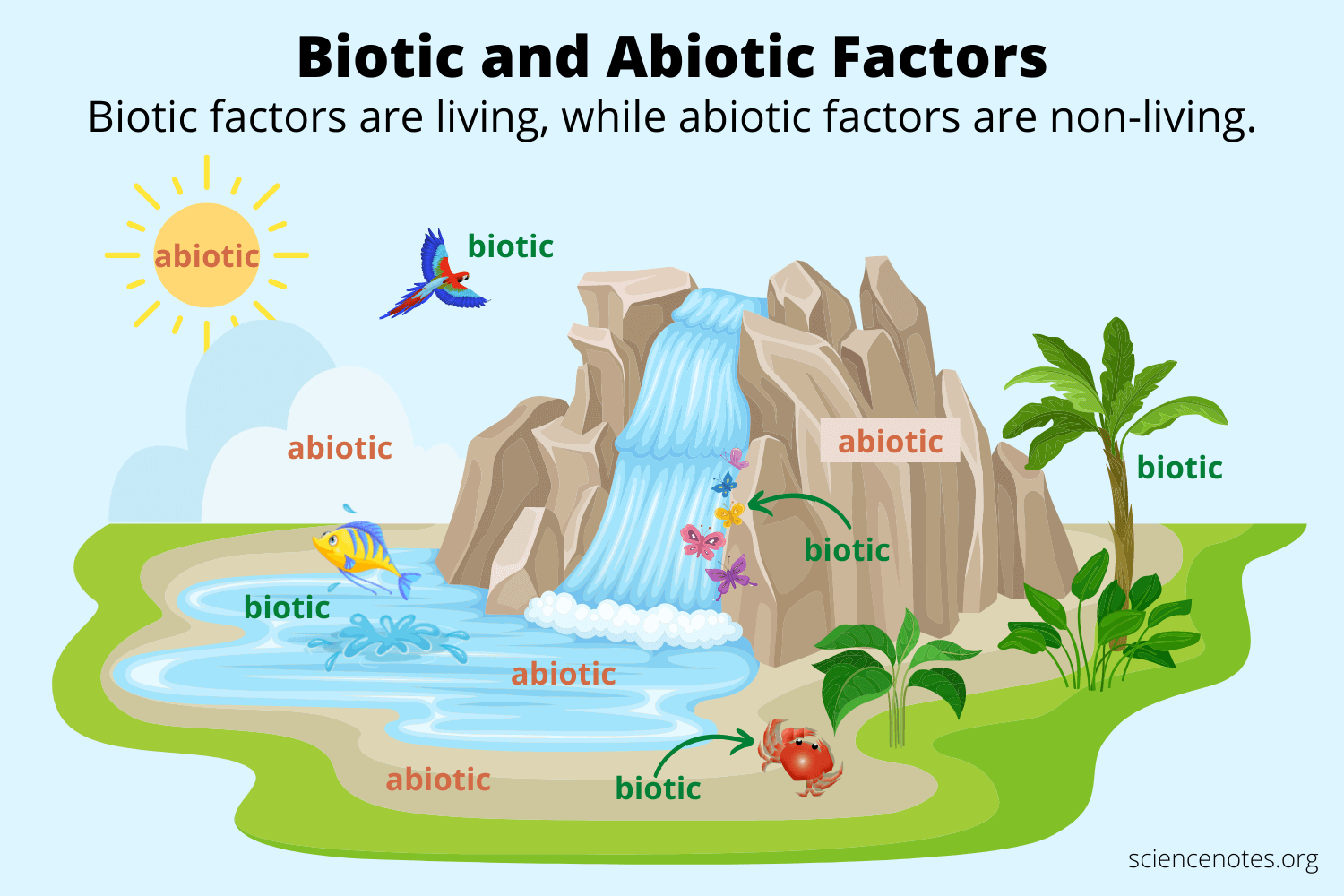 Biotic And Abiotic Factors In Ecology Biotic And Abiotic Factors In Ecology