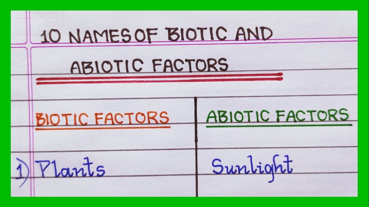 Biotic And Abiotic Factors Name Biotic And Abiotic Componets YouTube Biotic And Abiotic Factors Name Biotic And Abiotic Componets YouTube