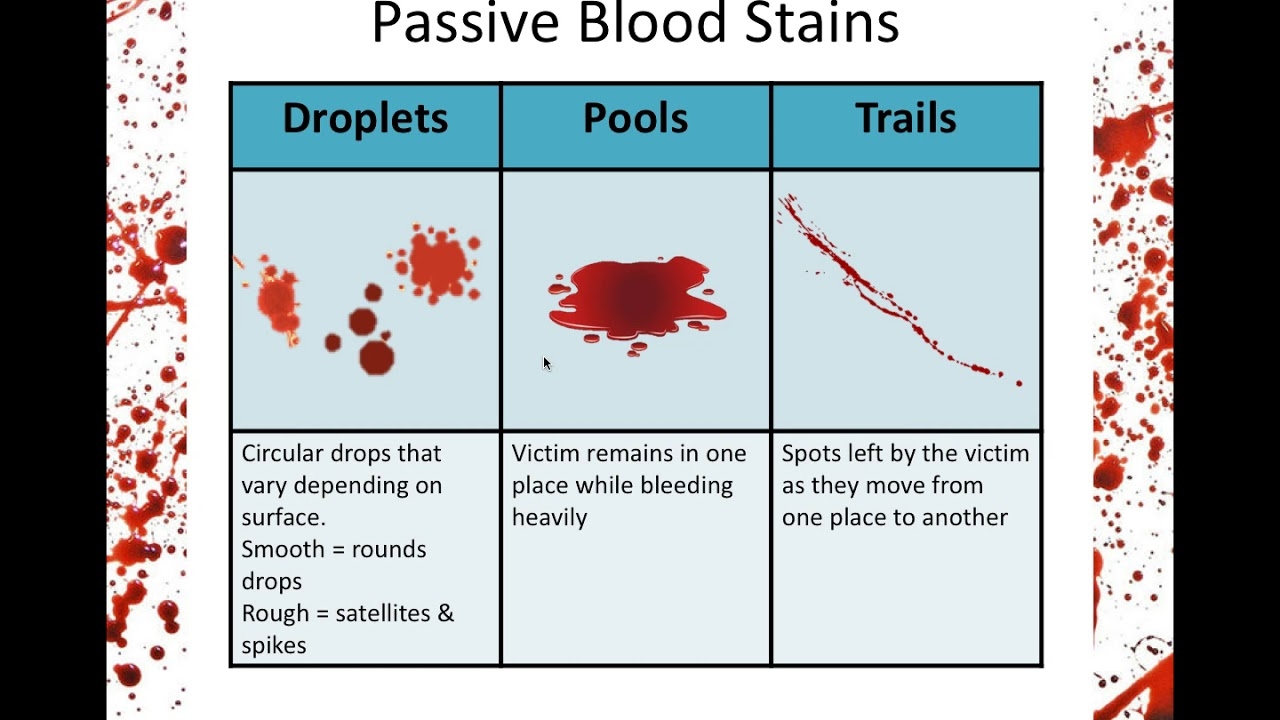 Blood Spatter Analysis YouTube