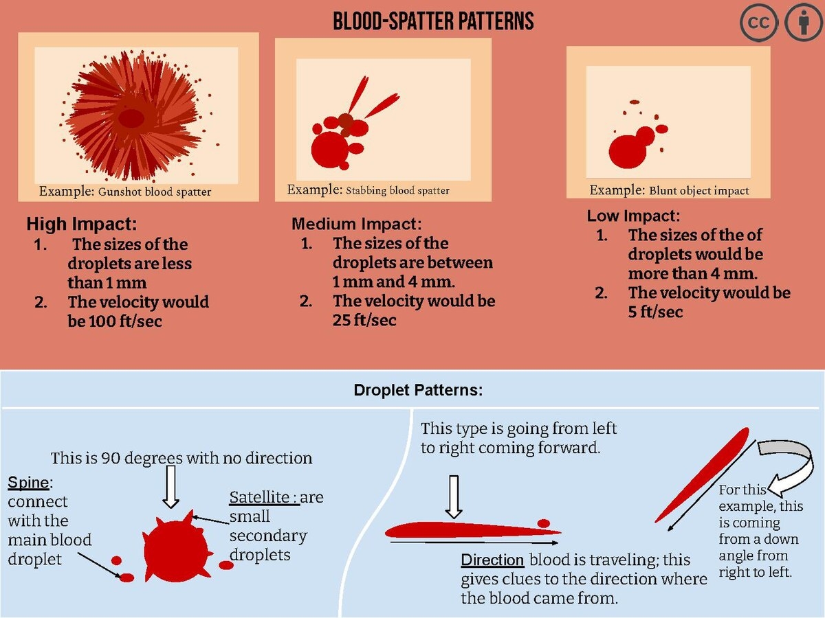 Bloodstain Pattern Analysis Wikipedia