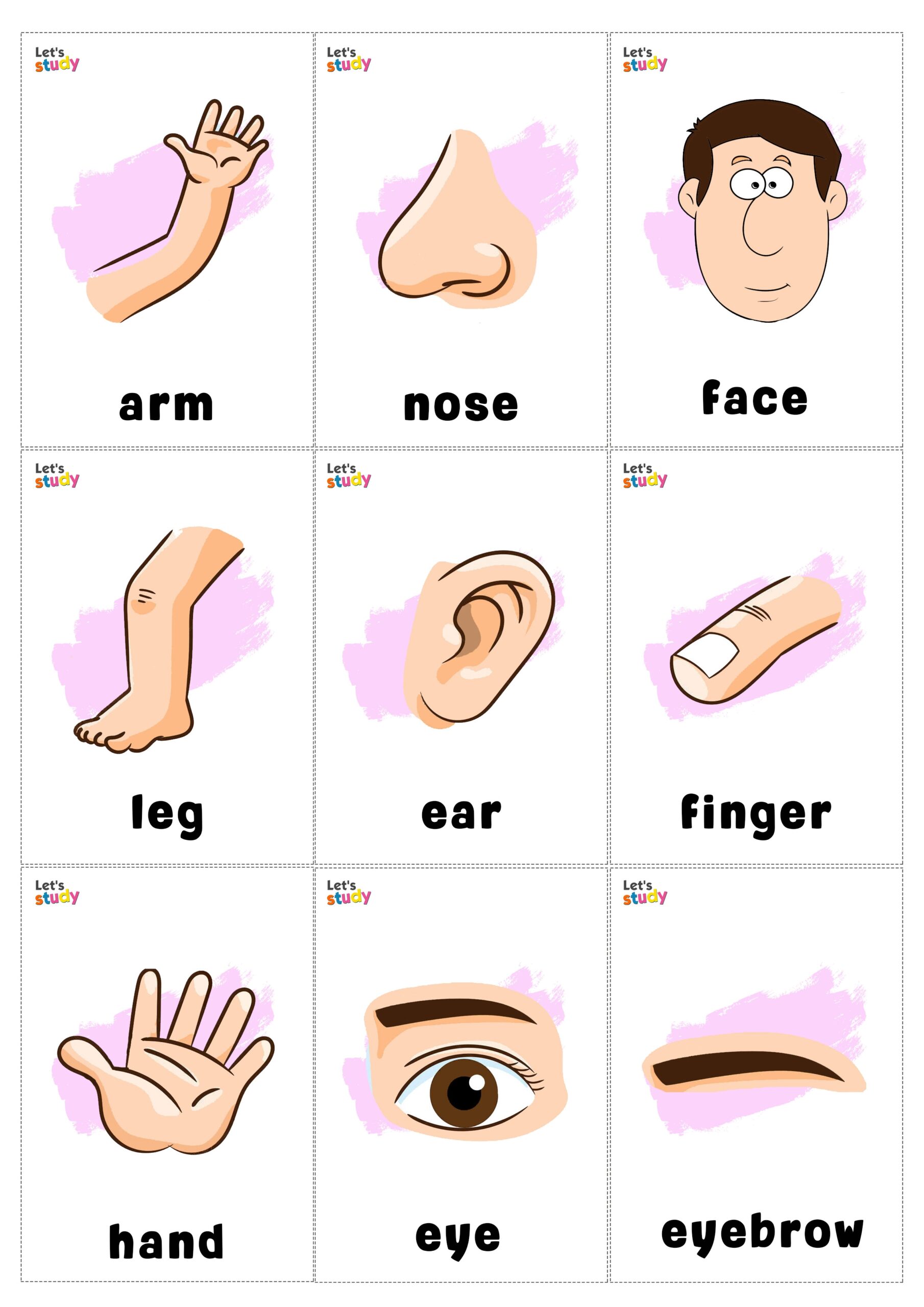 Body Parts Guess The Word Game PrepYourLesson