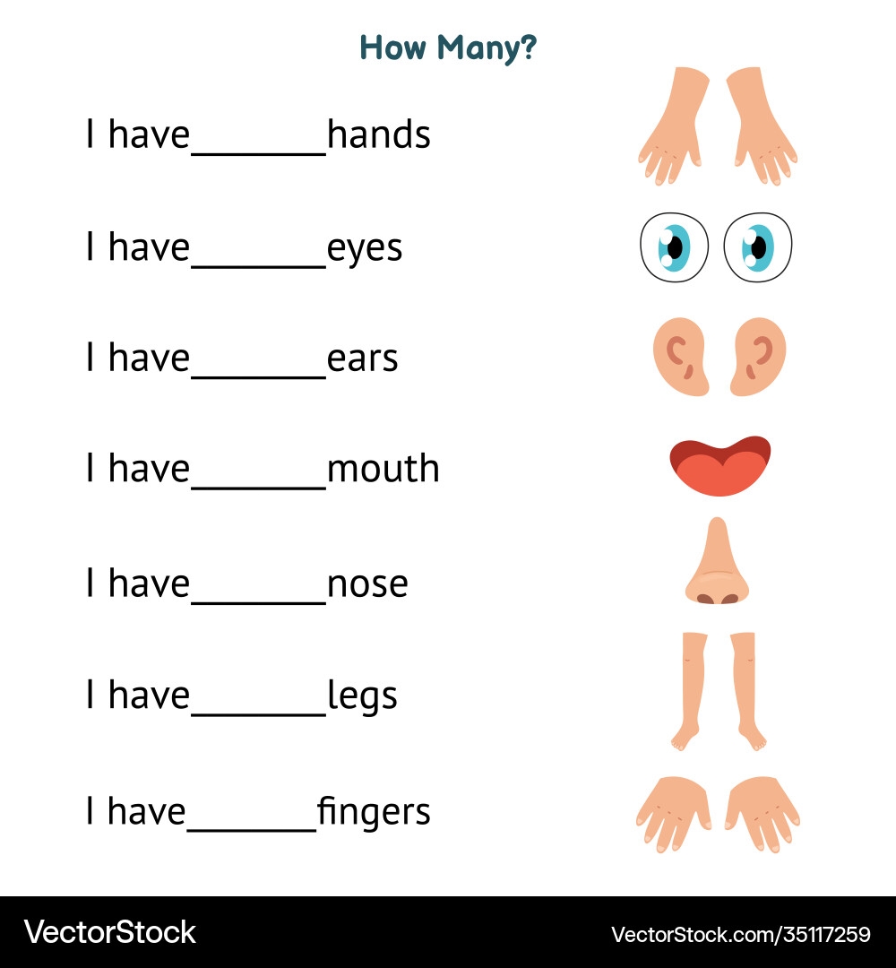 Body Parts Worksheet For Kids Royalty Free Vector Image Body Parts Worksheet For Kids Royalty Free Vector Image