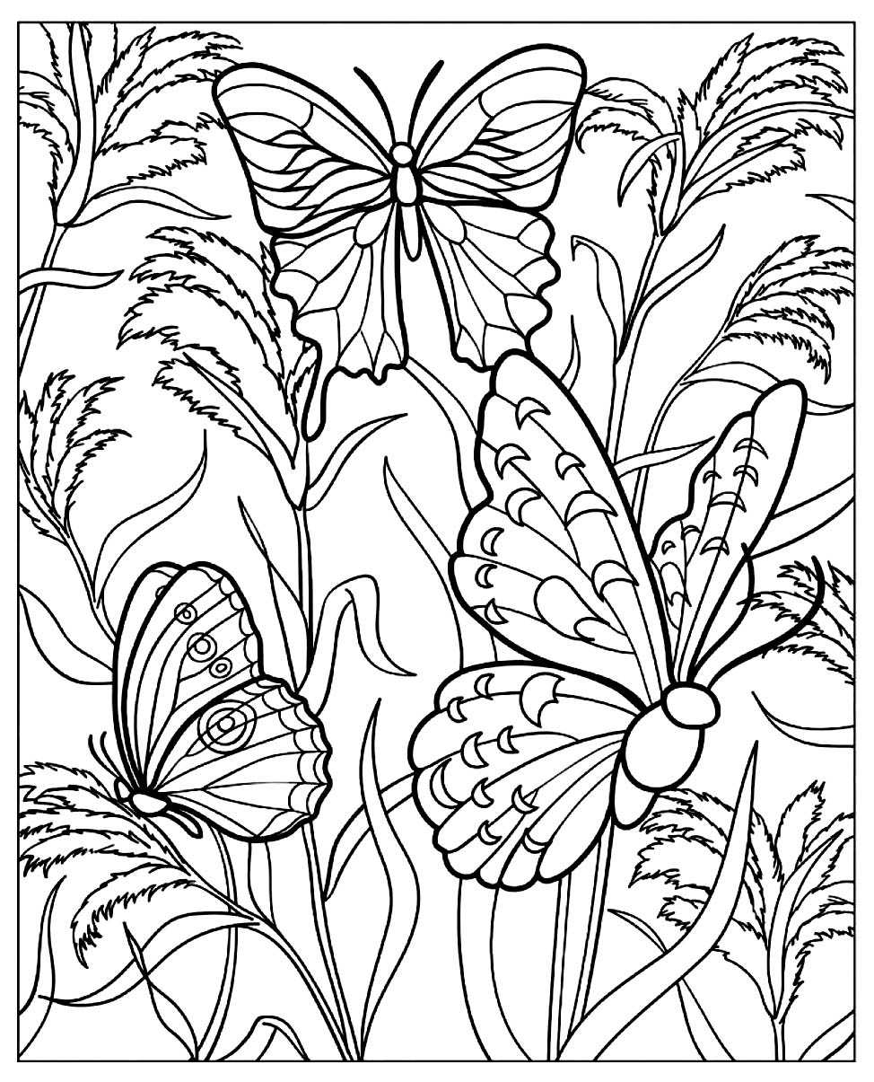 butterflies coloring pages printable