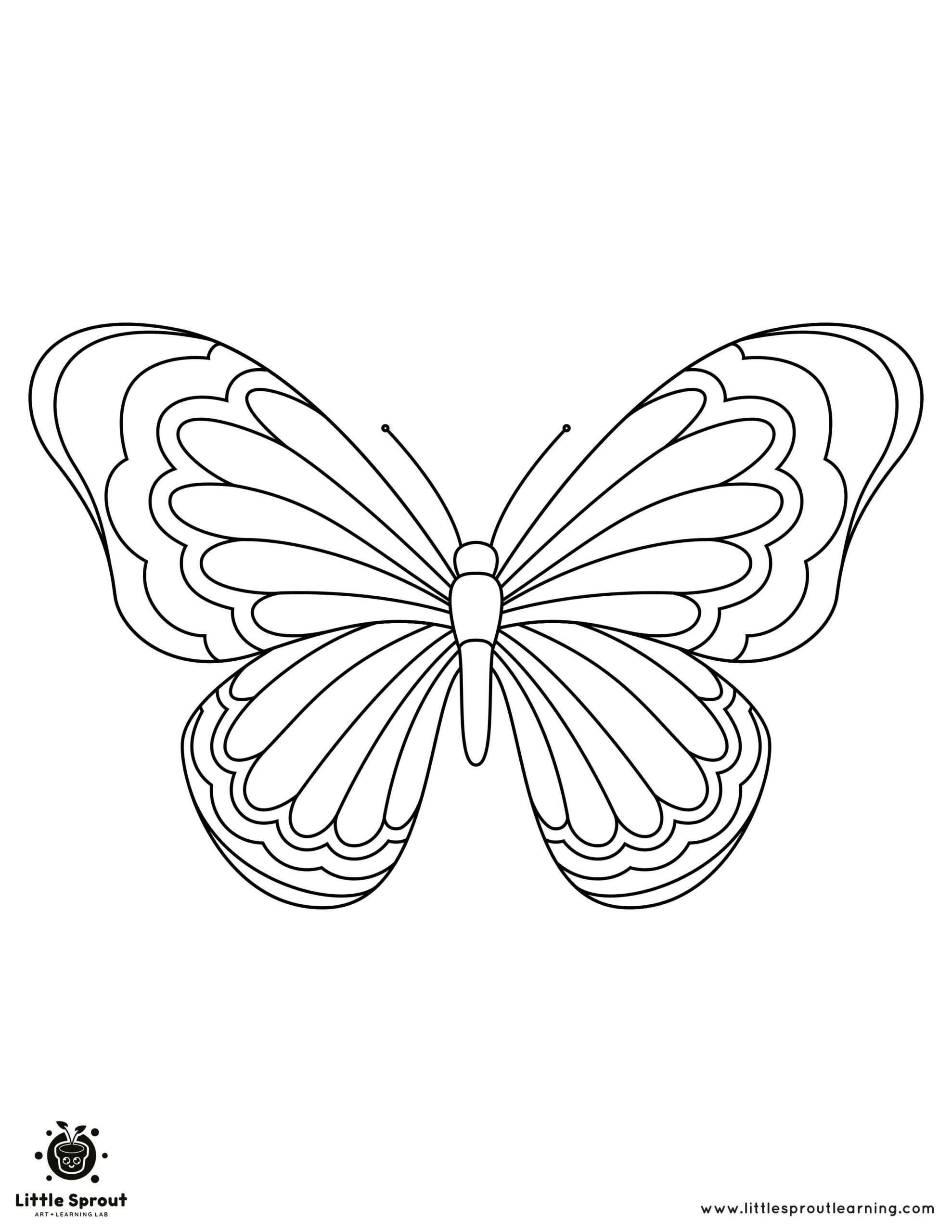 Butterfly Coloring Pages 10 Exquisite Illustrations